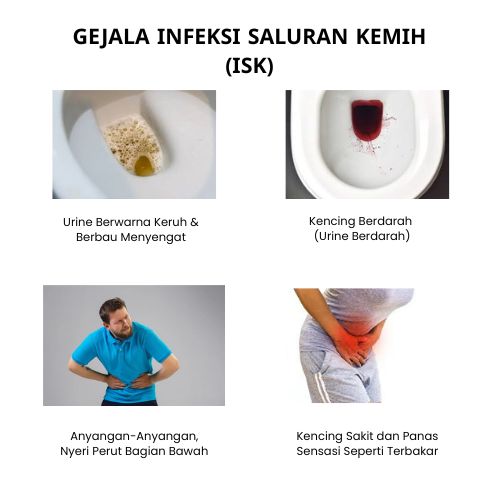 Obat ISK | Obat Infeksi Saluran Kemih