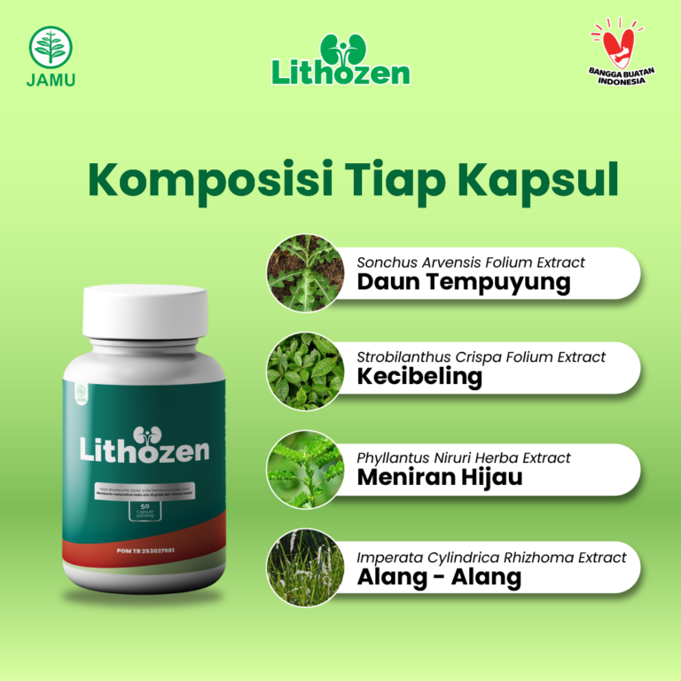 Obat Batu Ginjal