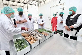 Obat ISK | Obat Infeksi Saluran Kemih